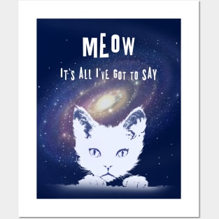 Meow..it's all I've got to say Posters and Art